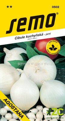 Cibule jarní - Agostana bílá 1g