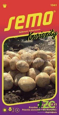 Brambor obecný (lilek brambor) SolHY019 F1 14pel - série KURIOZITY