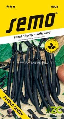 Fazol keř. fialový - Purple Queen 10g