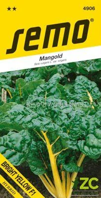 Mangold - Bright Yellow F1 zelený 3g