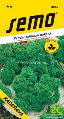 Petržel naťová - Kadeřavá 4g