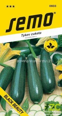 Tykev cuketa - Black Beauty tm. zelená 1,5g