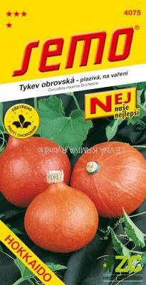 Tykev typ Hokkaido - Hokkaido orange 1,5g - série NEJ