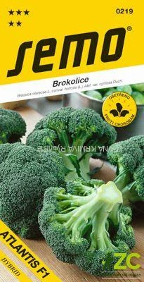 Brokolice - Atlantis F1 40s