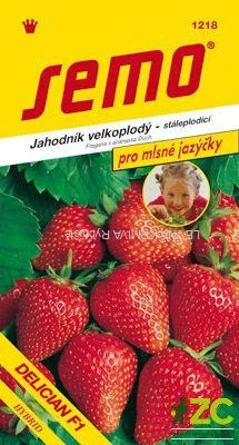 Jahodník velkoplodý - Delician F1 12s - série JAZÝČKY