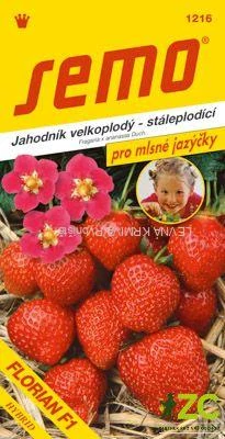 Jahodník velkoplodý - Florian F1 12s - série JAZÝČKY