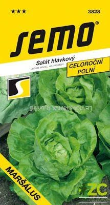 Salát celoroční - Maršálus PROFI polní 0,6g