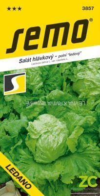 Salát ledový - Ledano polní 0,6g