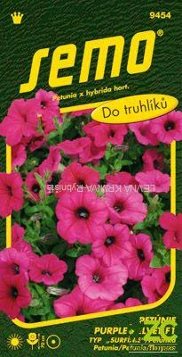 Petunie převislá - Purple Velvet F1 (typ Surfinie) 10p