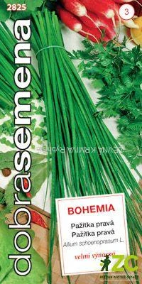 Dobrá semena Pažitka - Bohemia 2g
