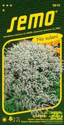 Suchobýl tatarský - Statice tatarika bílý 0,2g