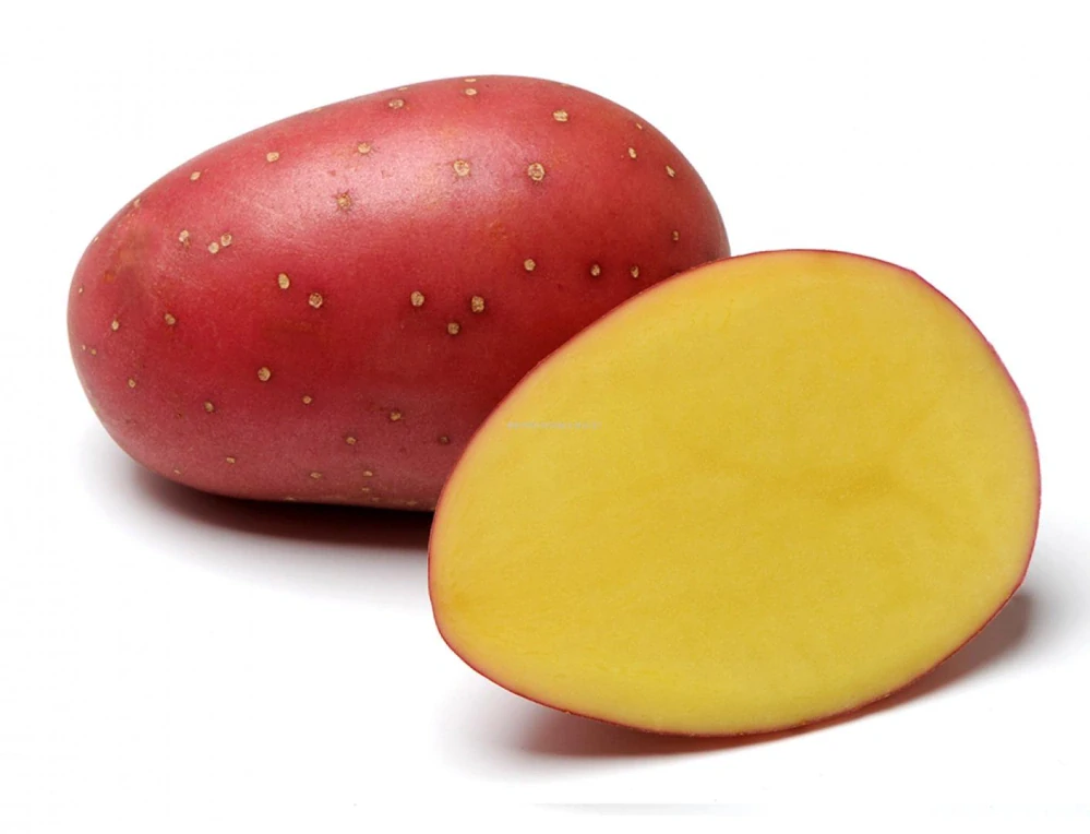 Brambory LAURA sadbové červené polorané 5kg