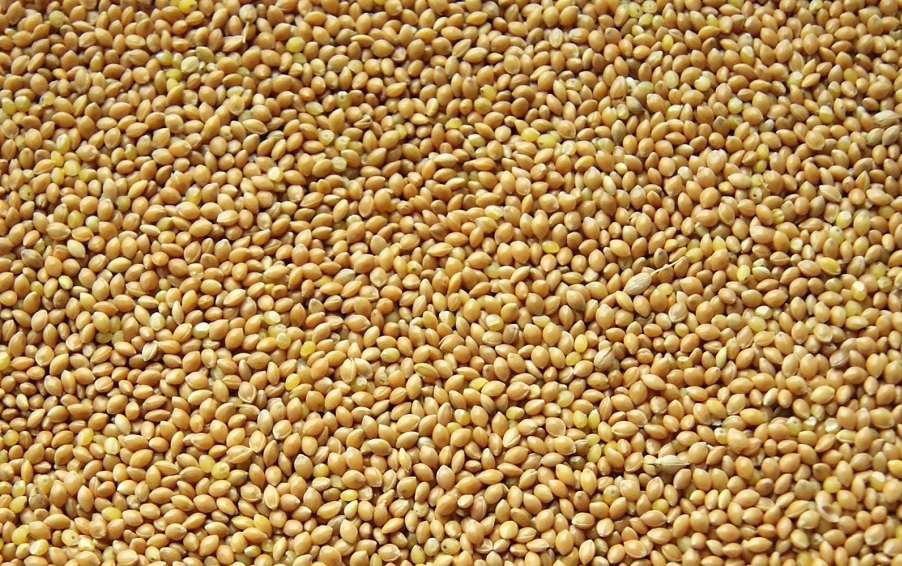 Proso žluté 25kg