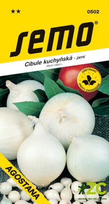 Cibule jarní - Agostana bílá 1g