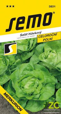 Salát celoroční - Merkurion PROFI polní 0,6g