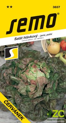 Salát jarní - Červánek polní 0,6g