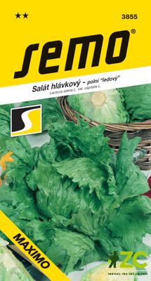 Salát ledový - Maximo polní velký 0,5g