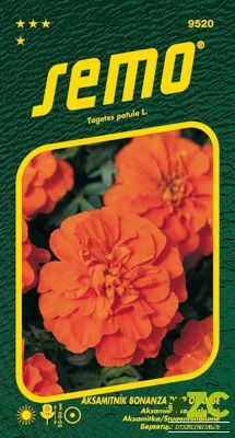 Aksamitník rozkladitý - Bonanza Deep Orange 30s