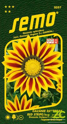 Gazánie zářivá - Daybreak Red Stripe F1 15s