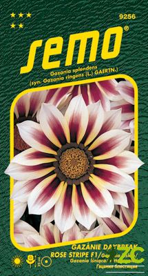 Gazánie zářivá - Daybreak Rose Stripe F1 15s