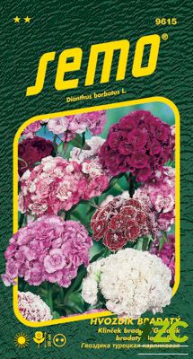 Hvozdík bradatý - směs 0,5g