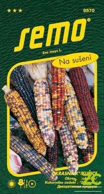 Kukuřice okrasná - Multicolor 4g