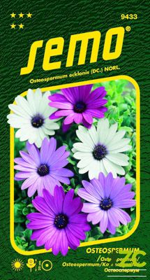 Osteospermum - směs Balade 0,30g