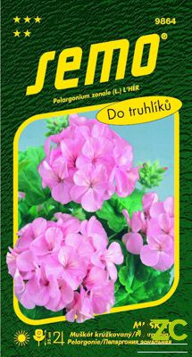 Pelargonie páskatá - růžová 11s