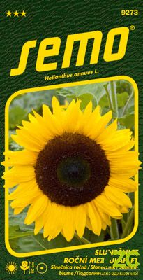 Slunečnice roční - Mezzulah F1 8s