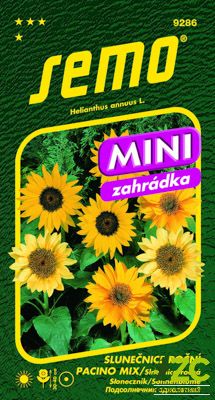 Slunečnice roční - Pacino mix (Dwarf mix)15s - série MINI