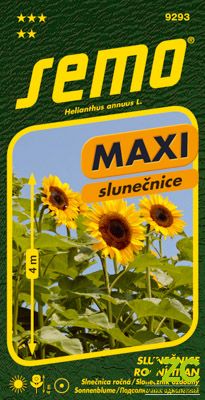 Slunečnice roční - Titan 1,5g - série MAXI
