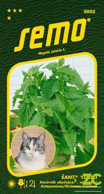 Šanta kočičí - Cat Grass 30cm 0,2g