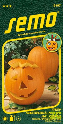 Tykev okrasná - Halloween 2g - série K DEKORACI