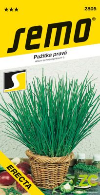 Pažitka - Erecta, vzpřímená 2g