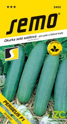 Okurka salát. - Perseus F1 fol,pole 1,3g