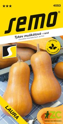 Tykev muškátová - Laura (typ Butternut) konz.vař 2g