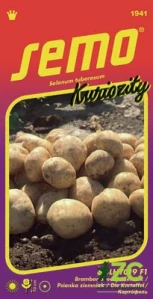 Brambor obecný (lilek brambor) SolHY019 F1 14pel - série KURIOZITY