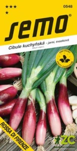 Cibule jarní - Rossa di Firenze červená svazková 2g
