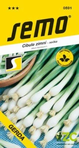 Cibule sečka - Gerda zimní, celoročně pro nať 2g