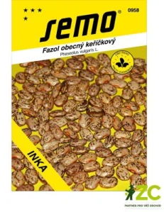 Fazol keř. na suchá semena - Taylor´s Horticultural 30g
