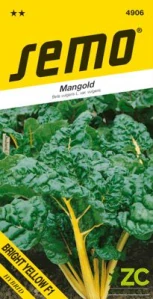 Mangold - Bright Yellow F1 zelený 3g
