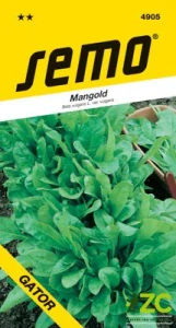 Mangold - Liscia verde Taglio (Gator) zelený 4g