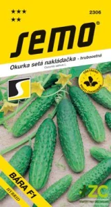 Okurka nakl. - Bára F1 hr 2g