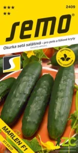 Okurka salát. - Marlen F1 fol., pole 1,3g
