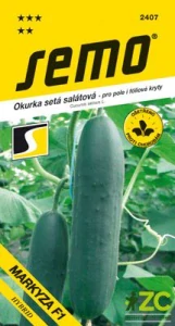 Okurka salát. - Markyza F1 fol., pole 1,5g