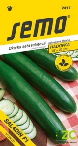 Okurka sklen. - Saladin F1 dl 10s
