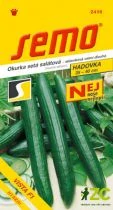 Okurka sklen. - Vista F1 dl 10s - série NEJ