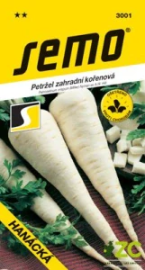 Petržel kořenová - Hanácká 3g