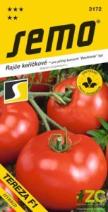Rajče keř. - Tereza F1 40s