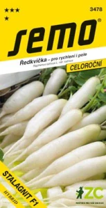 Ředkvička bílá - Stalagnit F1 rychl,pole 1,5g